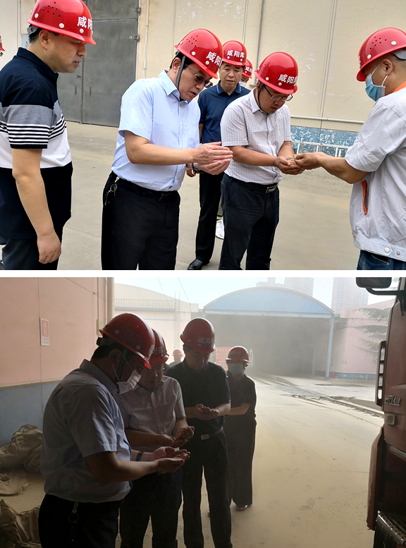 集團副總經(jīng)理潘智炎深入陜儲糧集團調研指導夏糧收購工作
