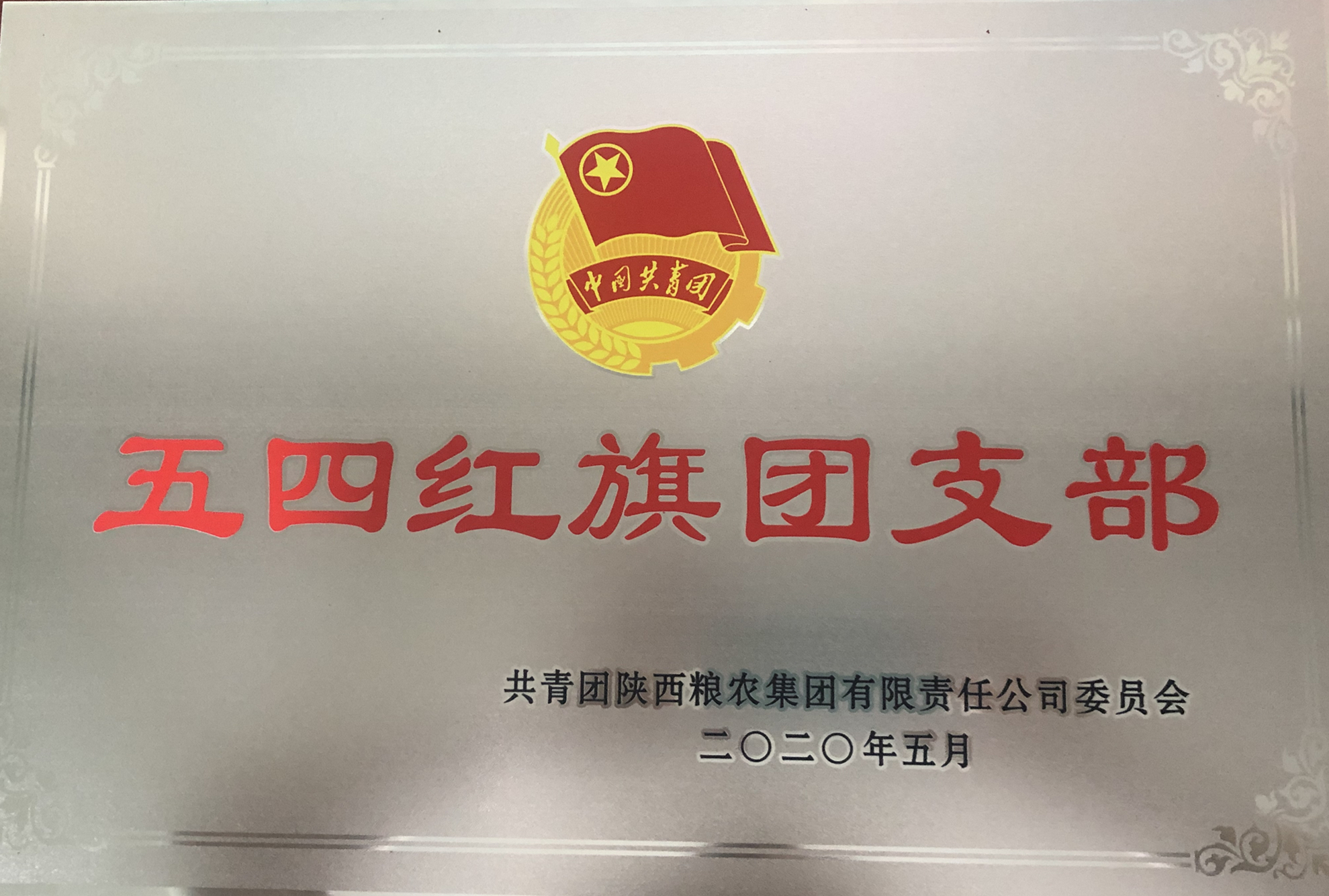 喜報(bào)！五四青年節(jié)，油脂集團(tuán)多位青年喜獲陜西糧農(nóng)集團(tuán)榮譽(yù)！